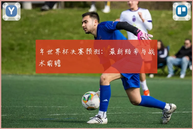 年世界杯决赛预测：最新赔率与战术前瞻