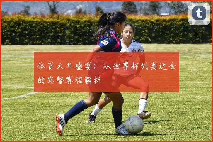 体育大年盛宴:从世界杯到奥运会的完整赛程解析
